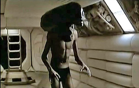 ������ ������ �� �����������